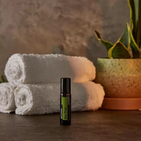Zion Holistics Retreat & Wellness