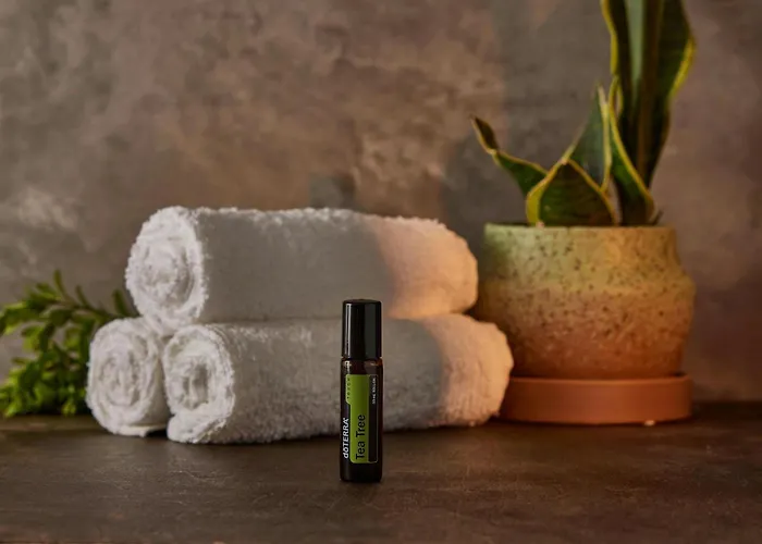 Zion Holistics Retreat & Wellness *